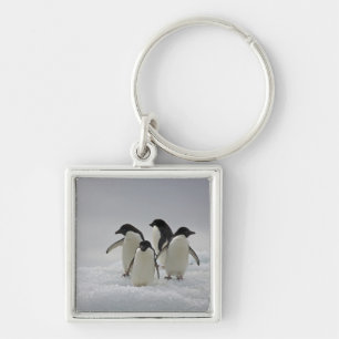 Adelie Penguins on Ice Flows Key Ring