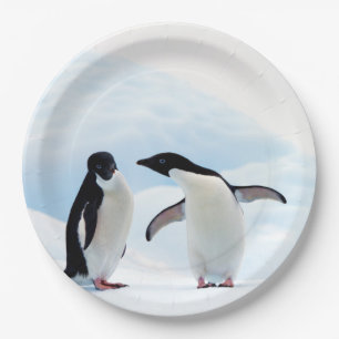 Adelie Penguins Paper Plate