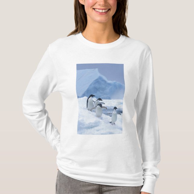 Adelie Penguins (Pygoscelis adeliae) on ice, T-Shirt (Front)