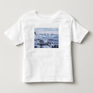 Adelie Penguins Pygoscelis adeliae Toddler T-Shirt