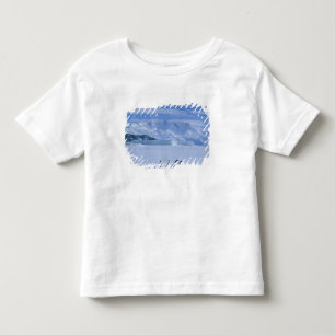 Adelie Penguins, Pygoscelis adeliae), Toddler T-Shirt