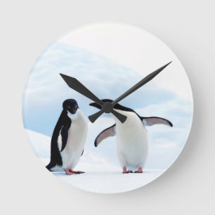 Adelie Penguins Round Clock