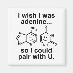 Adenine Magnet