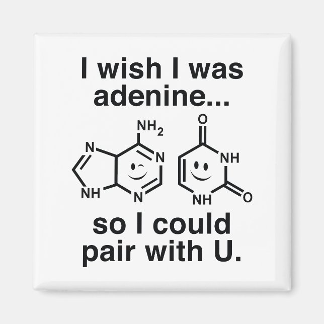 Adenine Magnet (Front)