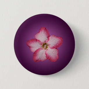 Adenium Pink Flower Flora Gradient Violet 6 Cm Round Badge
