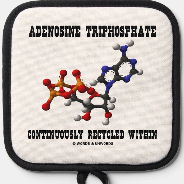 Adenosine Triphosphate Continuously Recycled ATP Oven Mitt & Pot Holder Set (Pot holder for anyone energized by ATP - and that means you!)