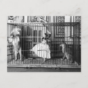 Adgie and Her Trained Lions 1897 Postcard