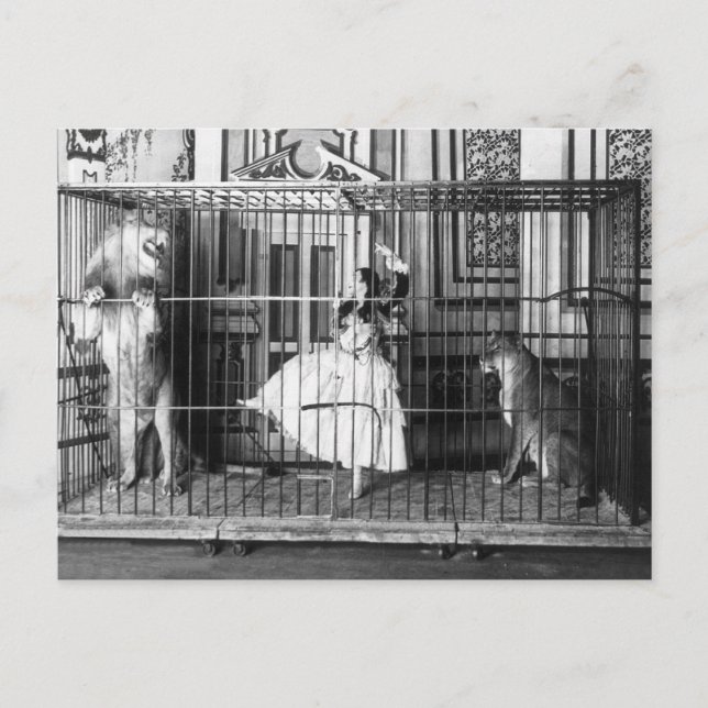 Adgie and Her Trained Lions 1897 Postcard (Front)