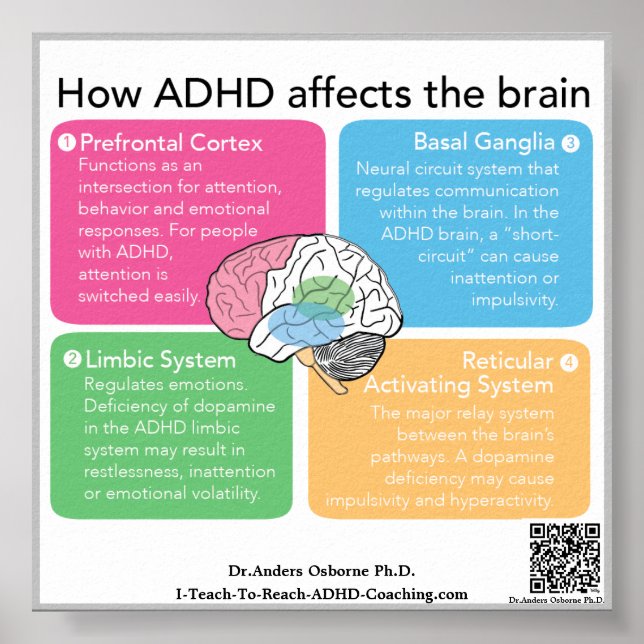 ADHD Brain* Poster (Front)