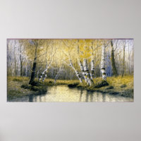 Adirondack Birches