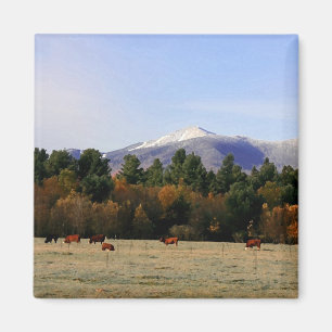 Adirondack farm magnet