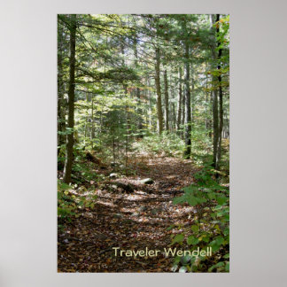 Adirondack Path Poster