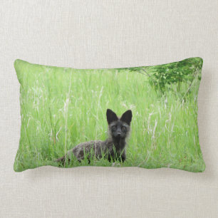 Adirondacks (NY) Silver Fox Lumbar Pillow