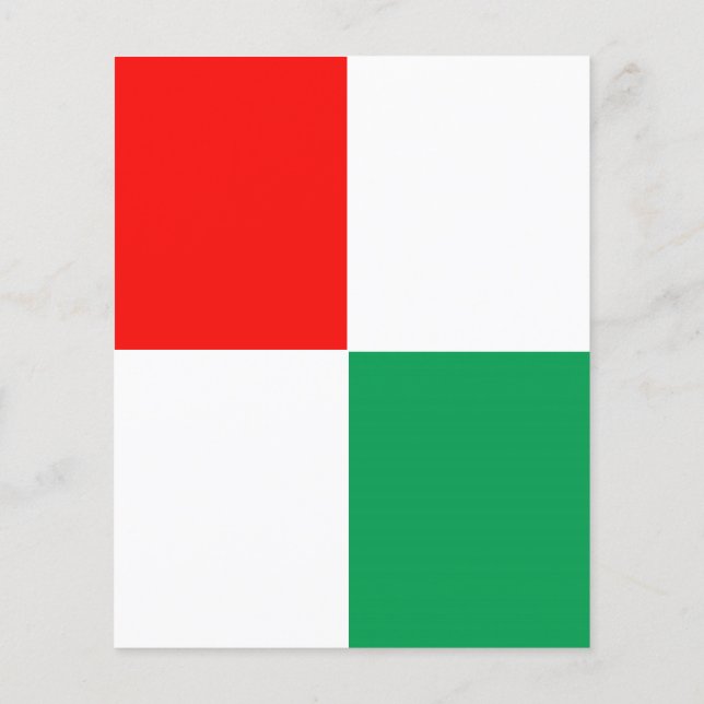 ADJUSTABLE Red, White & Green Flyer (Back)