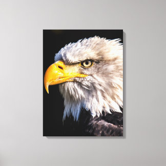 Adler Eagle Canvas Print