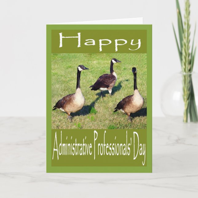 administrative Pro day geese Card (Front)