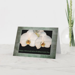 Administrative Professionals Day White Orchid Card