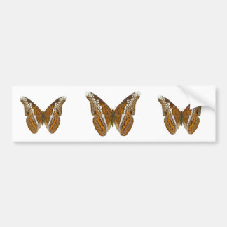 Admiral Butterfly Bumper Sticker