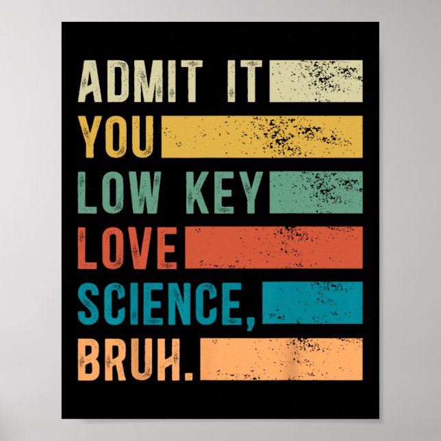 Admit It You Low Key Love Science Bruh Retro Graph Poster (Front)