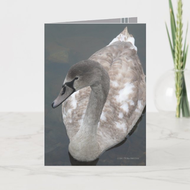 Adolescent Beauty Card (Front)