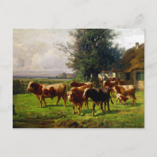 Adolf Chelius Cow Herd at Dachau Postcard