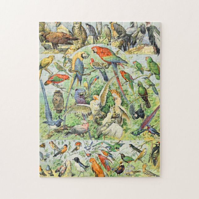 Adolphe Millot birds A Jigsaw Puzzle (Vertical)