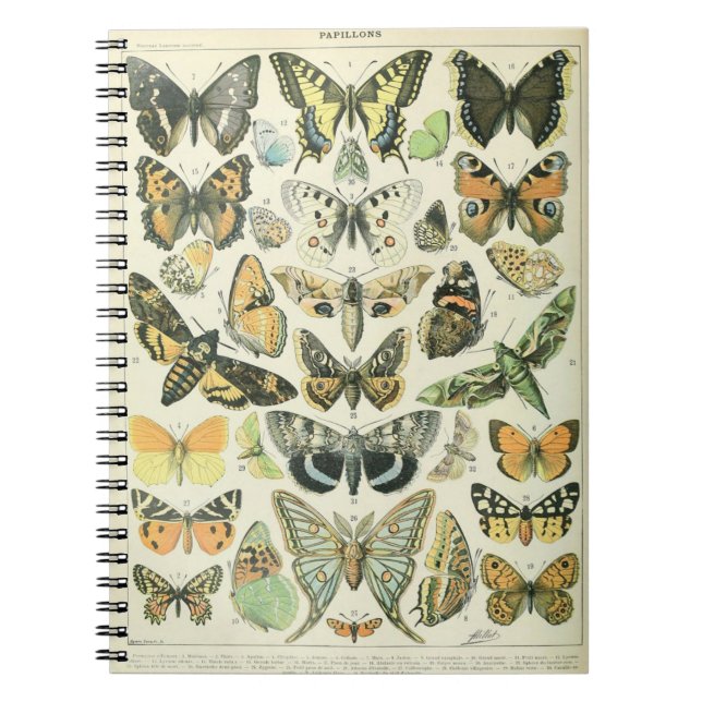 Adolphe Millot Butterflies Pattern-A Notebook (Front)
