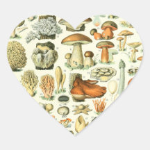Adolphe Millot Champignon Mushroom Print