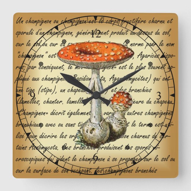 Adolphe Millot ~ Champignons-pour tous-fixed ~  Square Wall Clock (Front)