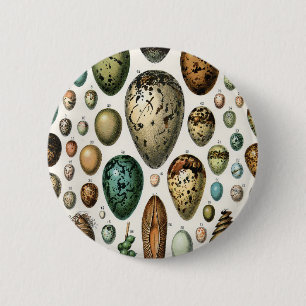Adolphe Millot Dark Academia Vintage Bird Egg Art 6 Cm Round Badge