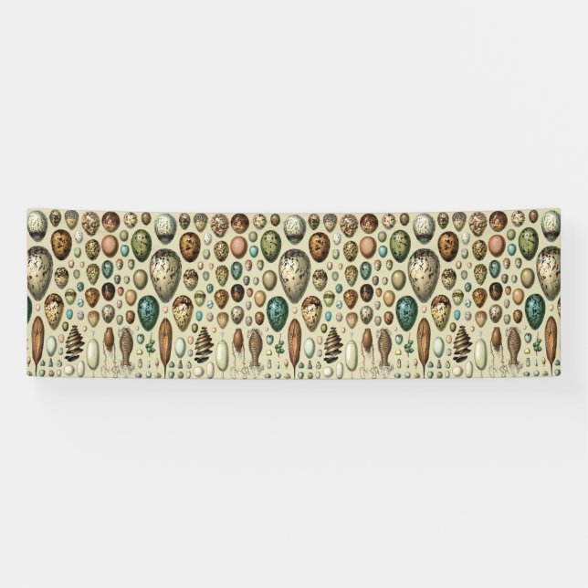 Adolphe Millot Dark Academia Vintage Bird Egg Art Banner (Horizontal)