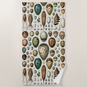 Adolphe Millot Dark Academia Vintage Bird Egg Art Beach Towel
