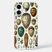 Adolphe Millot Dark Academia Vintage Bird Egg Art