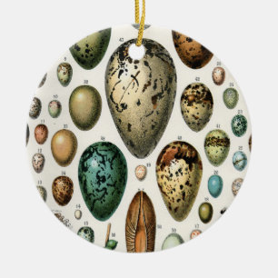 Adolphe Millot Dark Academia Vintage Bird Egg Art Ceramic Tree Decoration