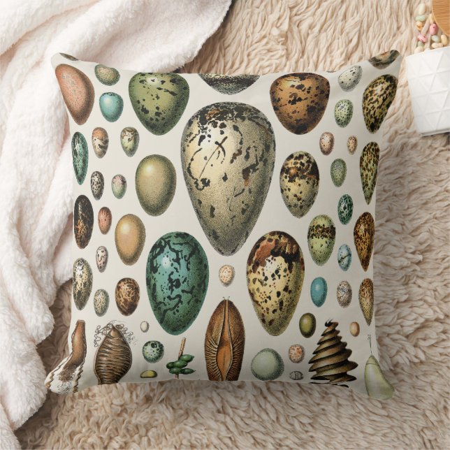 Adolphe Millot Dark Academia Vintage Bird Egg Art Cushion (Blanket)