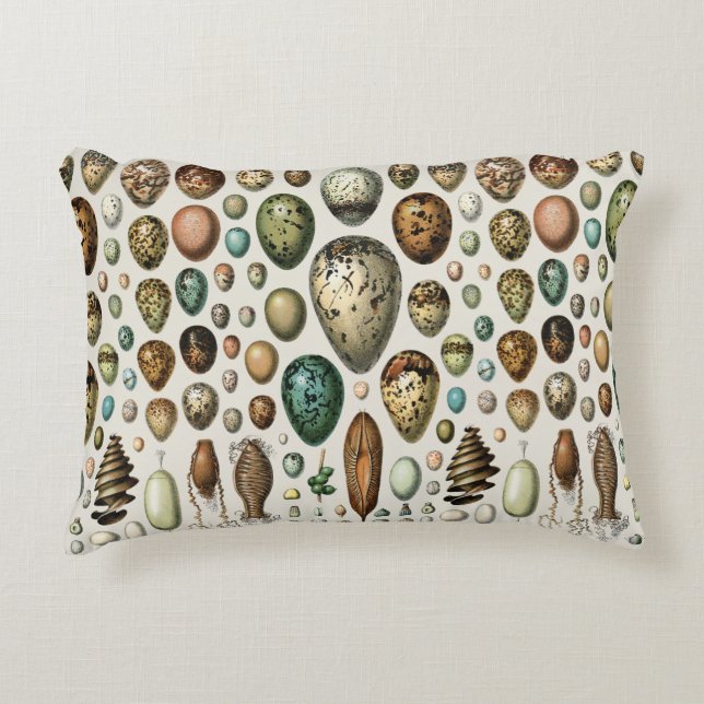 Adolphe Millot Dark Academia Vintage Bird Egg Art Decorative Cushion (Front)
