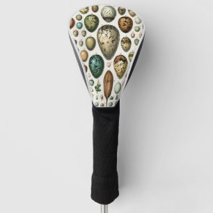 Adolphe Millot Dark Academia Vintage Bird Egg Art Golf Head Cover