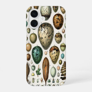 Adolphe Millot Dark Academia Vintage Bird Egg Art iPhone 16 Case