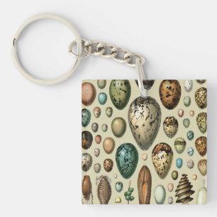 Adolphe Millot Dark Academia Vintage Bird Egg Art Key Ring
