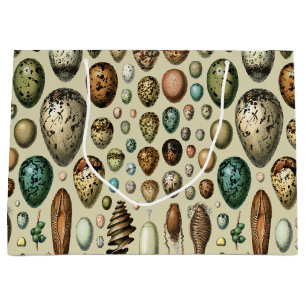 Adolphe Millot Dark Academia Vintage Bird Egg Art Large Gift Bag