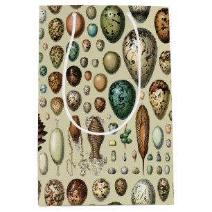 Adolphe Millot Dark Academia Vintage Bird Egg Art Medium Gift Bag