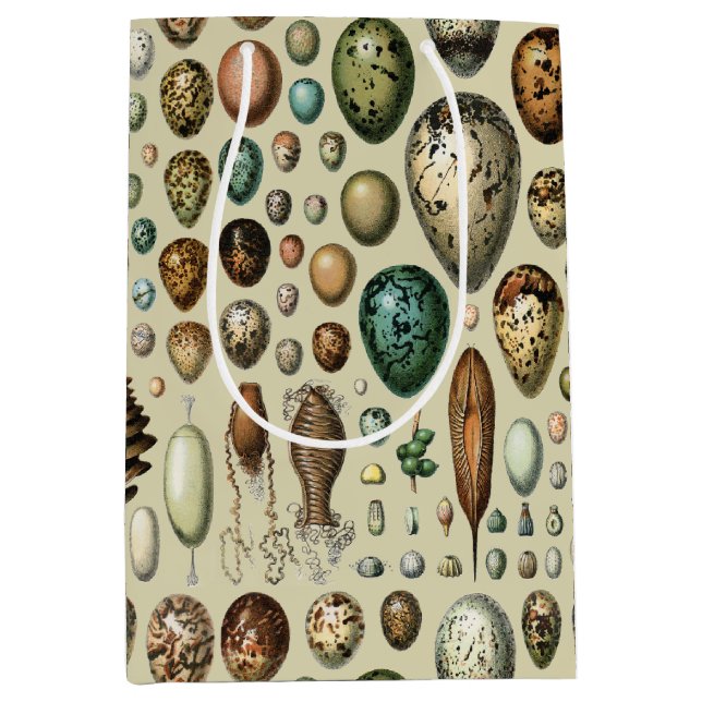Adolphe Millot Dark Academia Vintage Bird Egg Art Medium Gift Bag (Front)