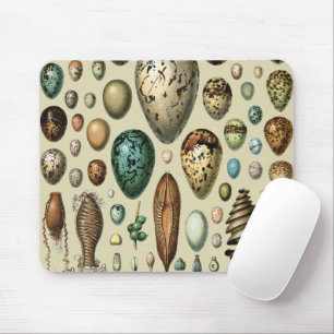 Adolphe Millot Dark Academia Vintage Bird Egg Art Mouse Pad