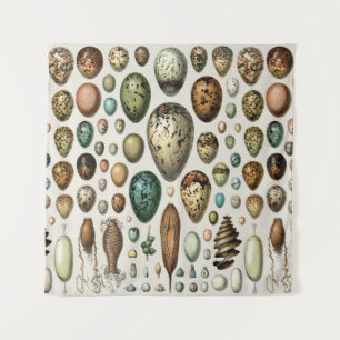 Adolphe Millot Dark Academia Vintage Bird Egg Art Tapestry