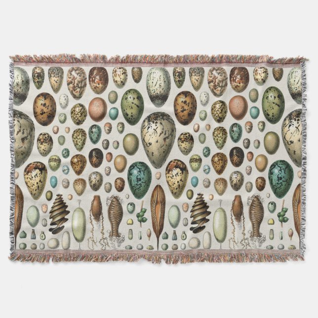 Adolphe Millot Dark Academia Vintage Bird Egg Art Throw Blanket (Front)