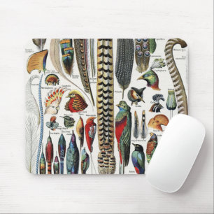 Adolphe Millot Dark Academia Vintage Bird Feather Mouse Pad