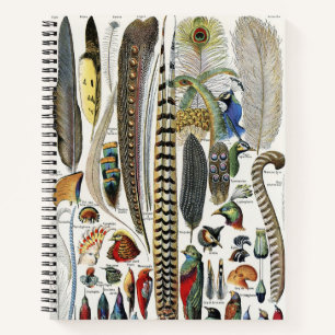 Adolphe Millot Dark Academia Vintage Bird Feather Notebook