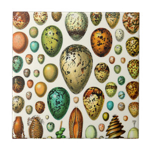Adolphe Millot Egg Ceramics Tile