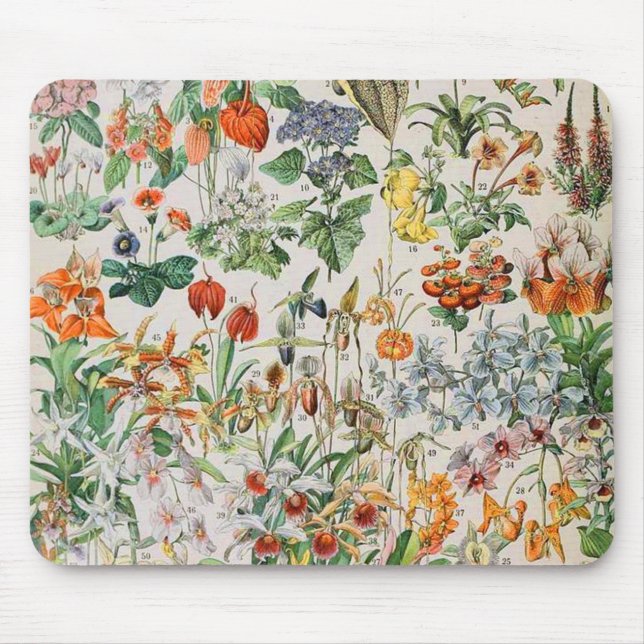 Adolphe Millot flowers D Mouse Pad (Front)