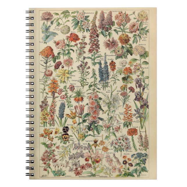 Adolphe Millot Flowers Pattern Notebook (Front)